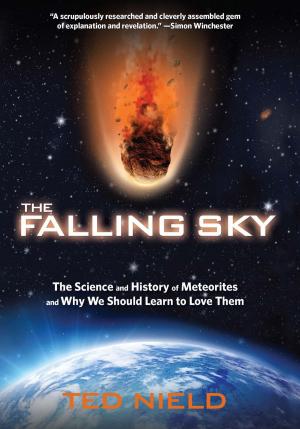 Book cover of Falling Sky