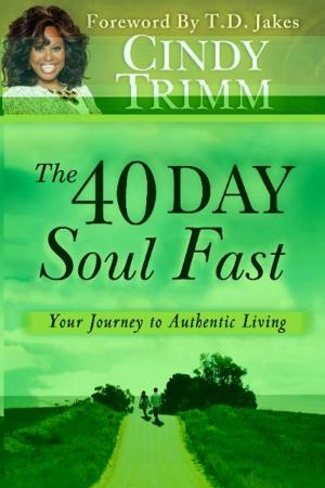 Book cover of The 40 Day Soul Fast: Your Journey to Authentic Living