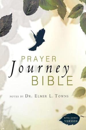 Cover of the book Prayer Journey Bible: Notes by Dr. Elmer L. Towns by James W. Goll