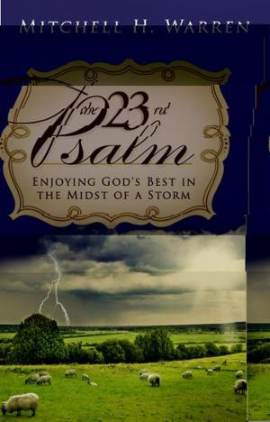 Cover of the book The 23rd Psalm: Enjoying God's Best in the Midst of the Storm by David Herzog