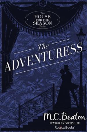 Book cover of The Adventuress