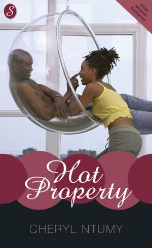 Cover of the book Hot Property by Janet K. Brennan, Keith Pyeatt