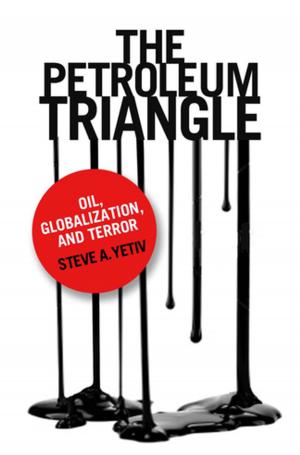 Book cover of The Petroleum Triangle