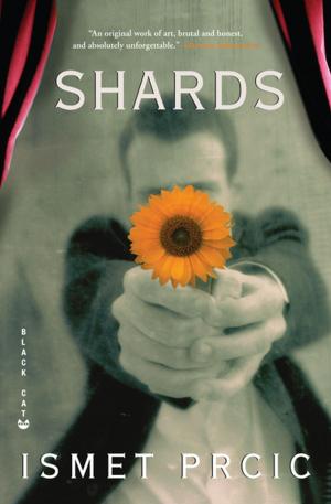 Cover of the book Shards by Ken Bruen