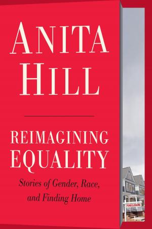 Book cover of Reimagining Equality