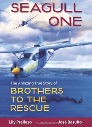 Cover of the book Seagull One: The Amazing True Story of Brothers to the Rescue by Gil Brewer, edited by David Rachels