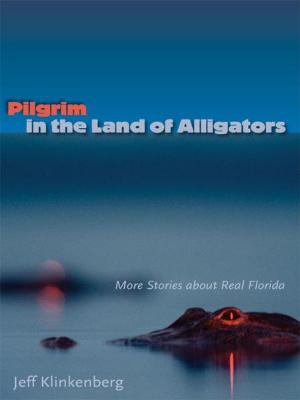 Cover of the book Pilgrim in the Land of Alligators: More Stories about Real Florida by Gil Brewer, edited by David Rachels