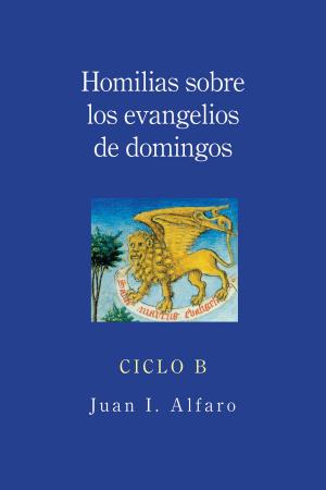 Book cover of Homilias sobre los evangelios de domingos