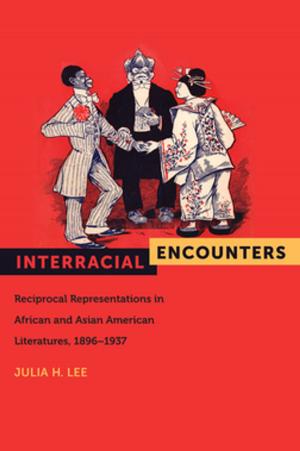 Cover of the book Interracial Encounters by Amanda M. Czerniawski