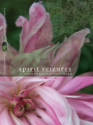 Book cover of Spirit Seizures