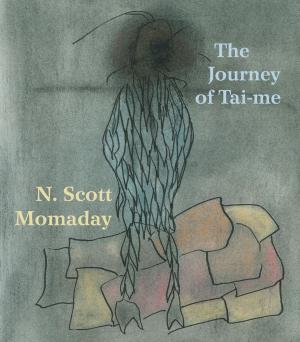 Cover of the book The Journey of Tai-me by Paul M. Levitt, Douglas A. Burger, Elissa S. Guralnick
