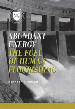 Cover of the book Abundant Energy by Charles Murray