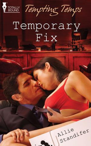 Cover of the book Temporary Fix by Mina Dorian