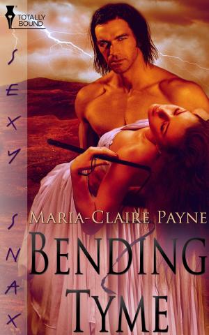 Cover of the book Bending Tyme by Carol Lynne, Bailey  Bradford, Jan Irving