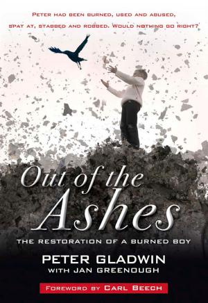 Cover of the book Out of the Ashes by Les Cowan