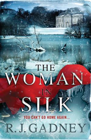 Cover of the book The Woman in Silk by Jessamy Hibberd, Jo Usmar