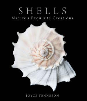 Cover of the book Shells by Maryline Assante di Panzillo, Paul Cézanne