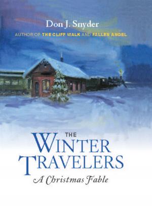 Book cover of The Winter Travelers