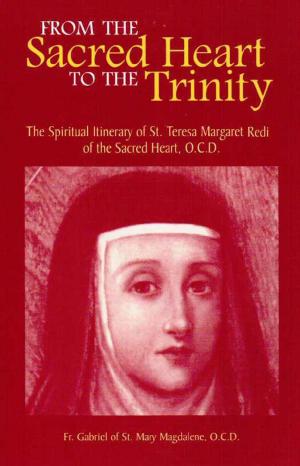 Cover of the book From the Sacred Heart to the Trinity by Brittney Jones
