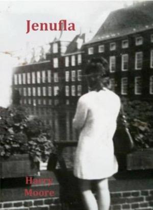 Book cover of Jenufla