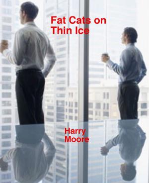 Cover of the book Fat Cats on Thin Ice by Simon P