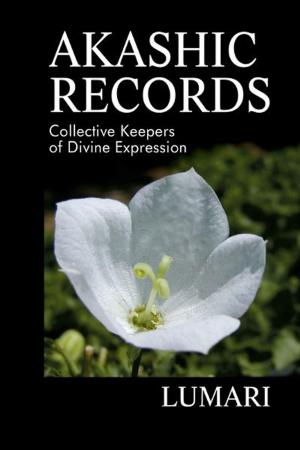 Cover of the book Akashic Records by William Blessed