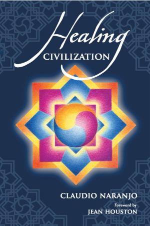 bigCover of the book Healing Civilization by 