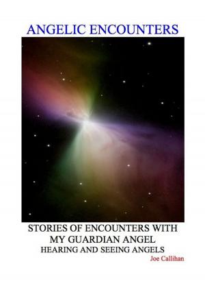 bigCover of the book Angelic Encounters by 