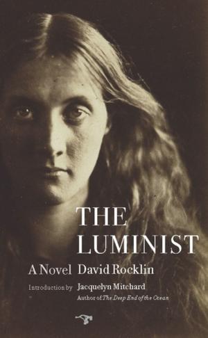 Cover of the book The Luminist by Scott Nadelson