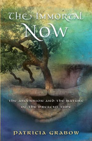 Cover of the book THE IMMORTAL NOW: Ascension and the Nature of the Present Time by Raven Kaldera