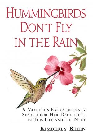 bigCover of the book Hummingbirds Don't Fly In The Rain: A mothers extraordinary search for her daughter in this life- and the next by 