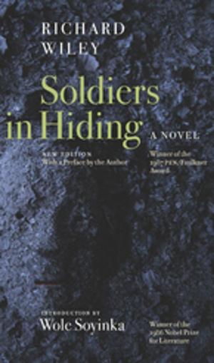 Cover of the book Soldiers in Hiding by Loretta Stinson