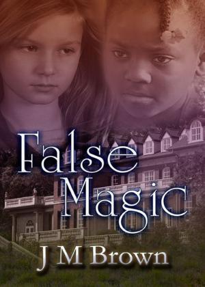 bigCover of the book False Magic by 