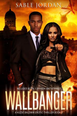Cover of the book Wallbanger by Marene