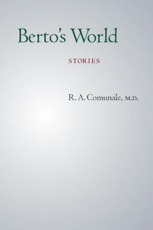 Book cover of Berto's World: Stories
