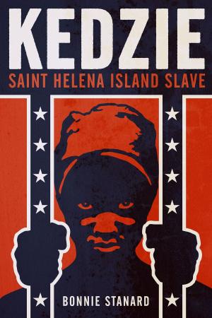 Book cover of Kedzie Saint Helena Island Slave