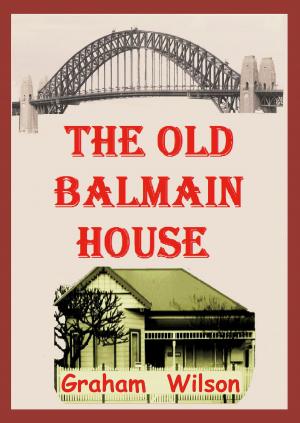 Cover of the book The Old Balmain House by Pierre Debauche, Daniel Mesguich