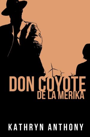 Book cover of Don Coyote de la Merika