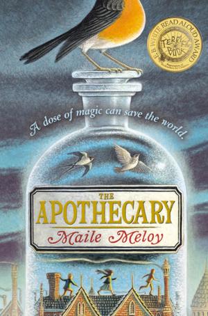 Cover of the book The Apothecary by Brenda Woods