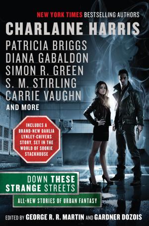 Cover of the book Down These Strange Streets by Dakota Cassidy