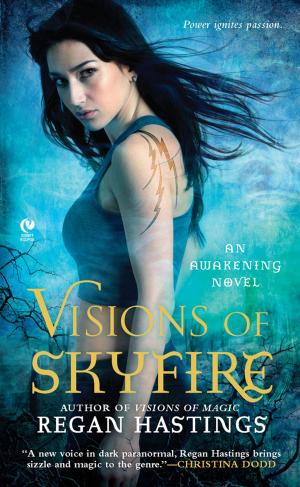 bigCover of the book Visions of Skyfire by 