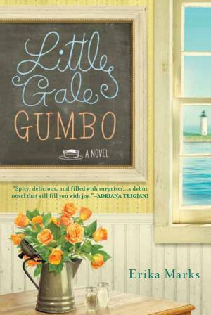 Cover of the book Little Gale Gumbo by Leslyn Amthor Spinelli