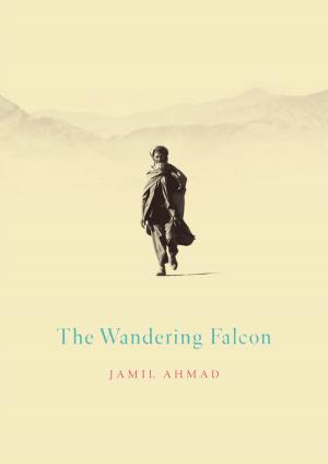 Cover of the book The Wandering Falcon by Marilyn Bohn