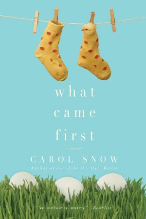 Cover of the book What Came First by Alison Hawthorne Deming