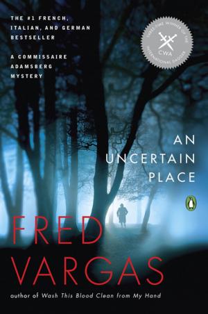 Cover of the book An Uncertain Place by Nancy Atherton
