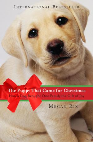 bigCover of the book The Puppy That Came for Christmas by 