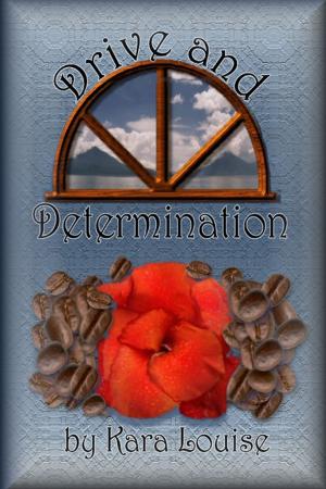 Cover of the book Drive and Determination by Robert Reynolds