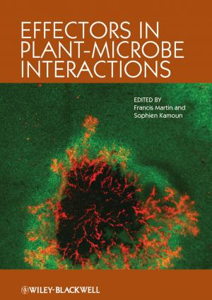 Cover of the book Effectors in Plant-Microbe Interactions by Barry J. Epstein, Nadira M. Saafir