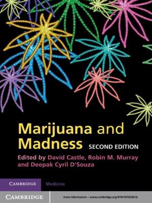 Cover of the book Marijuana and Madness by Piet de Jong, Gillian Z. Heller