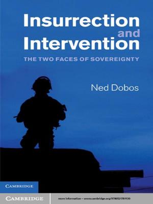 Cover of the book Insurrection and Intervention by Dr Waikeung Tam